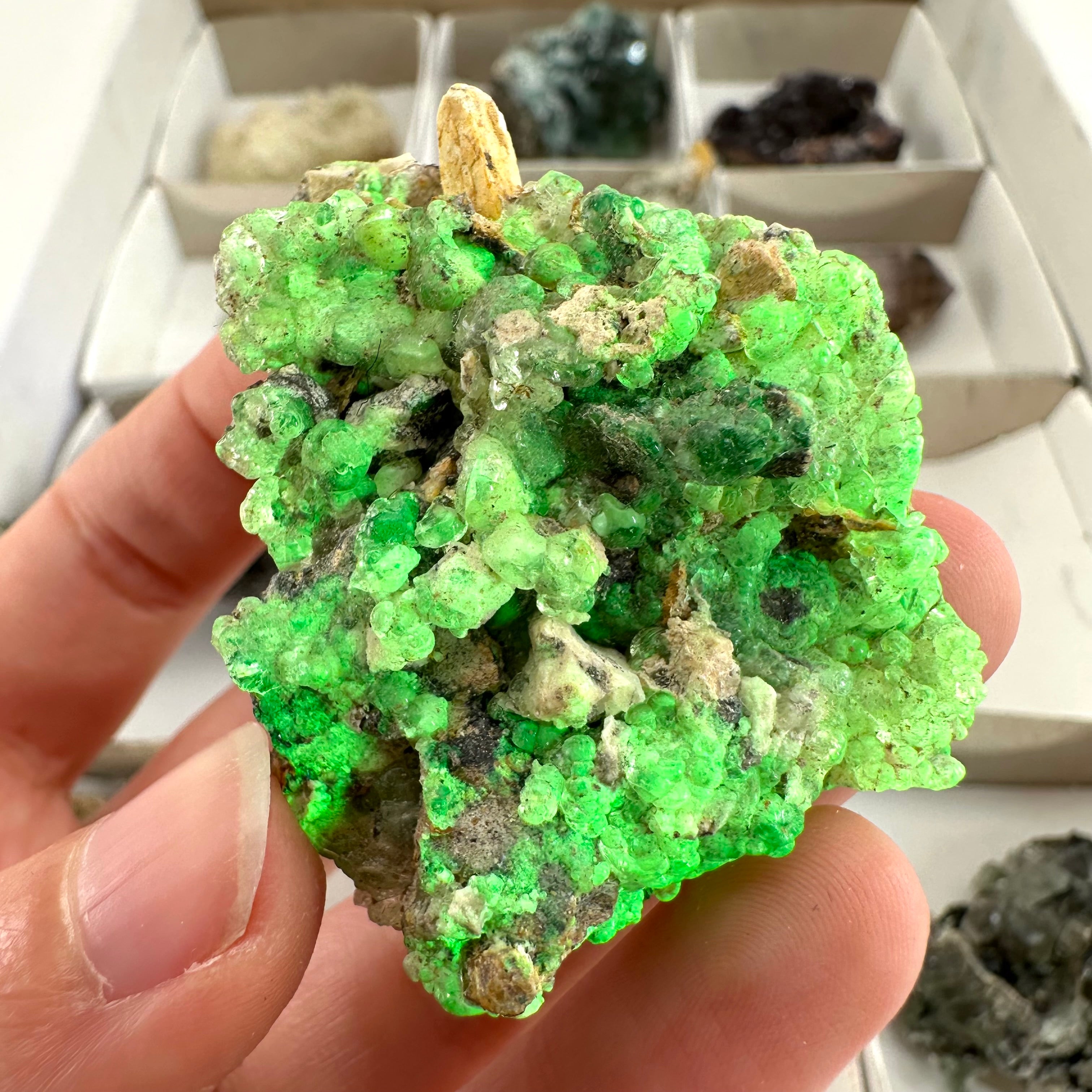 14 Piece/ 480g Flat of Mixed Minerals from Namibia | Okorusu Fluorite, Aquamarine, Hyalite Opal, Amethyst, Smoky Quartz