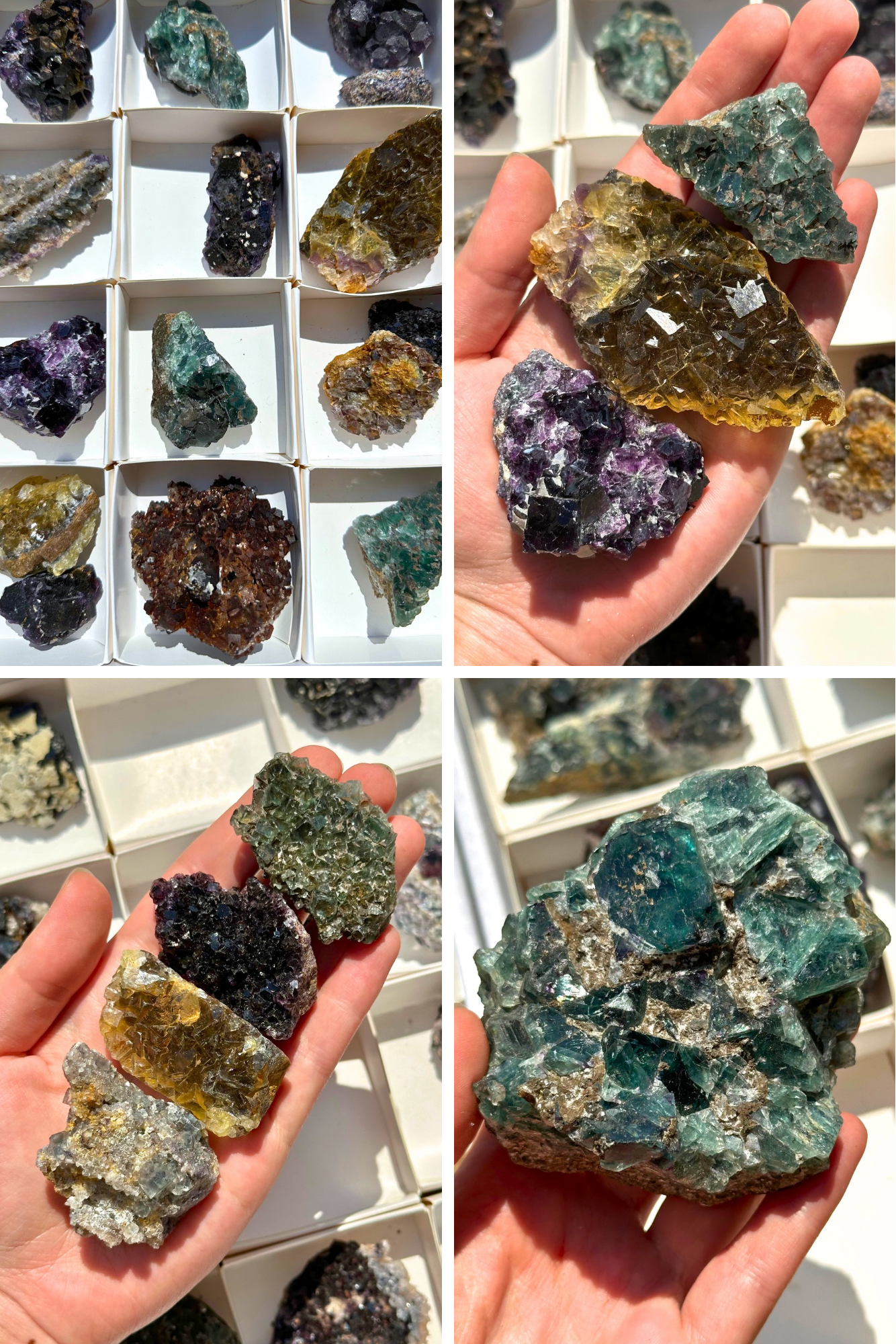 COMING SOON: Okorusu Fluorite