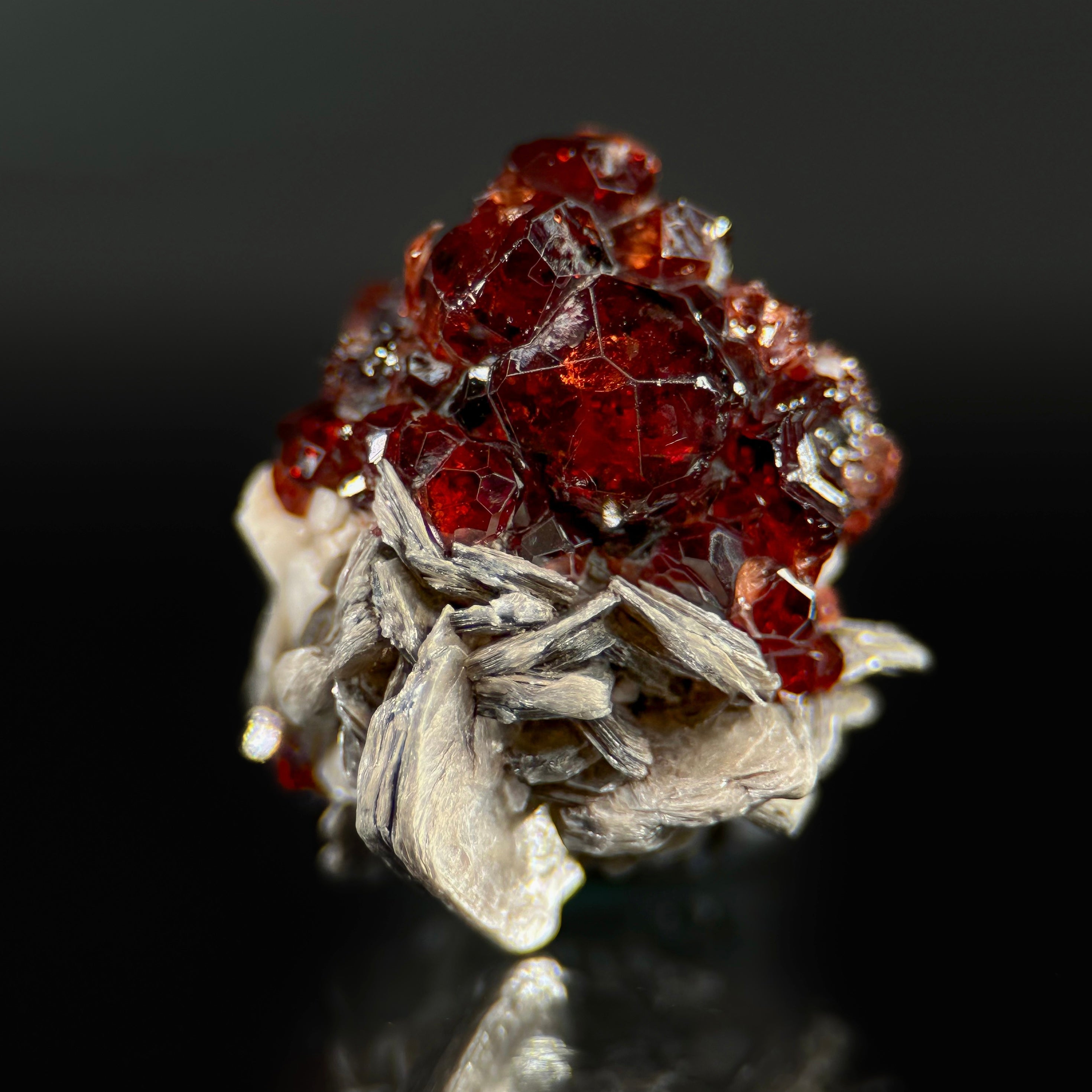 Garnet var. Spessartine on Muscovite & Albite