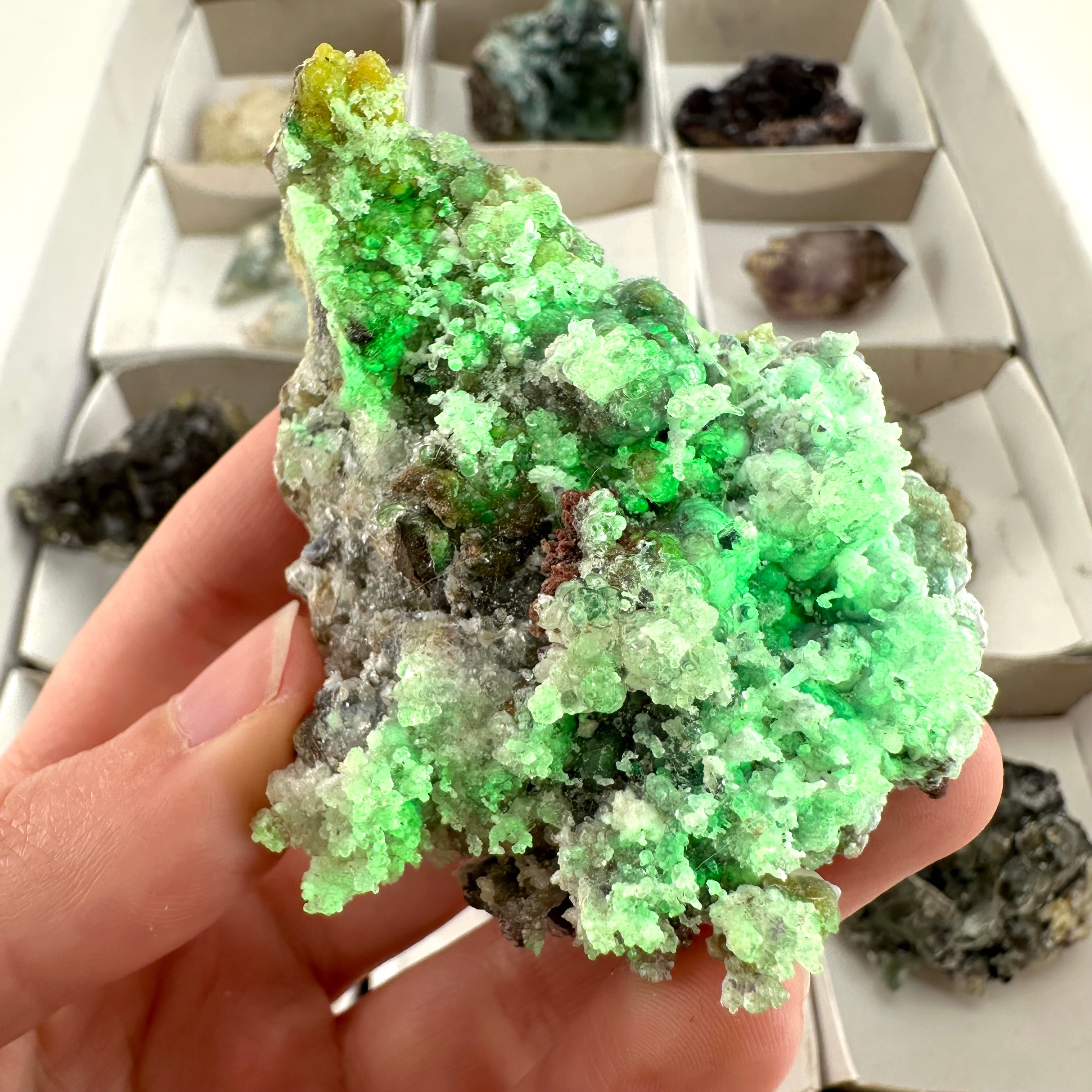 14 Piece/ 480g Flat of Mixed Minerals from Namibia | Okorusu Fluorite, Aquamarine, Hyalite Opal, Amethyst, Smoky Quartz