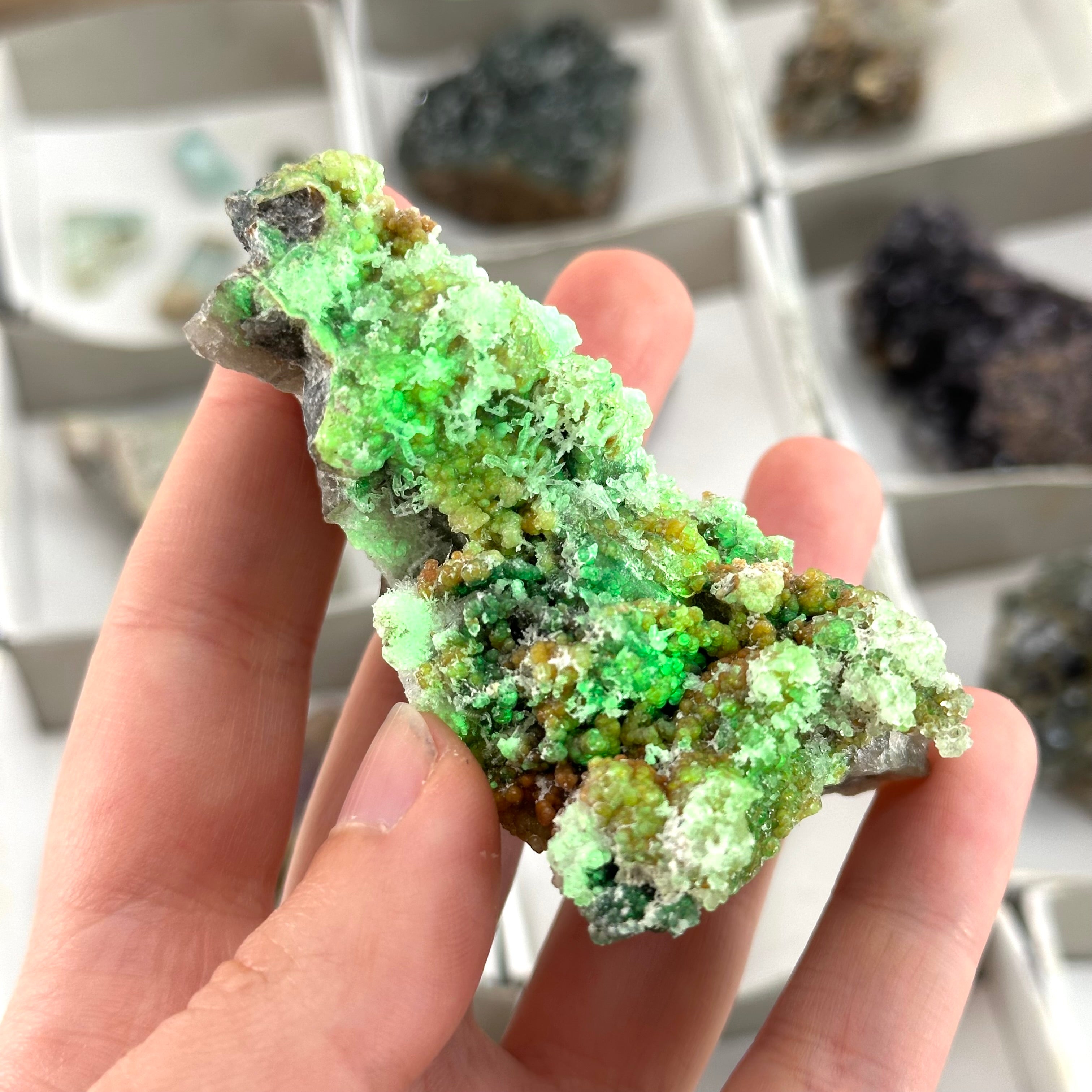 20 Piece/ 500g Flat of Mixed Minerals from Namibia | Okorusu Fluorite, Aquamarine, Hyalite Opal, Amethyst, Smoky Quartz